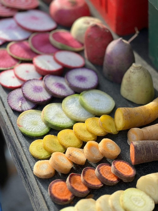 Die bunte Vielfalt der Karotten
